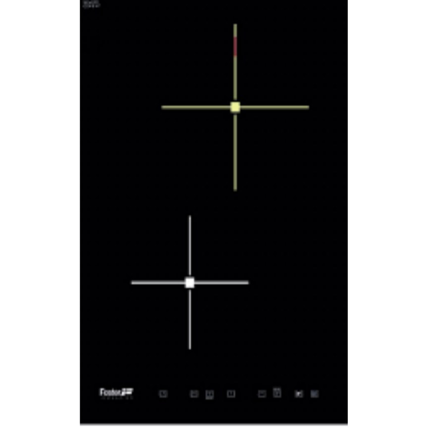 Foster 7322 240 Induction Hob