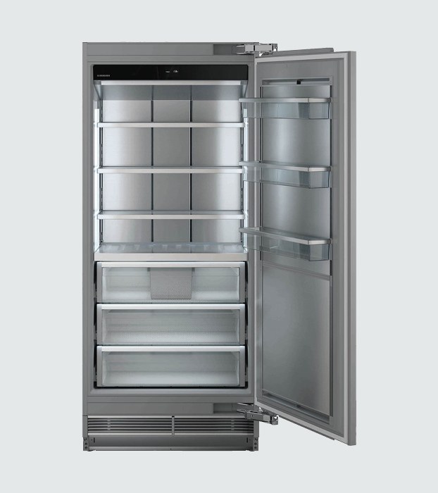 Liebherr EFNei 9970 Freezer
