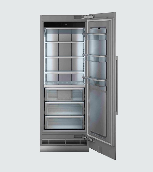 Liebherr Monolith EFNei 9770 Freezer
