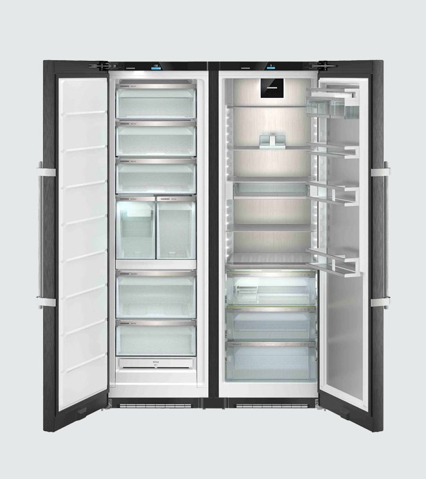 Liebherr XRFbs 5295 PEAK Biofresh NO FROST Freezer