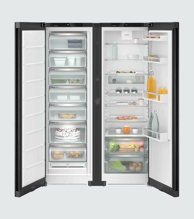 Liebherr Monolith XRFbd 5220 SFNbde 5227 Side-by-Side Fridge Freezer